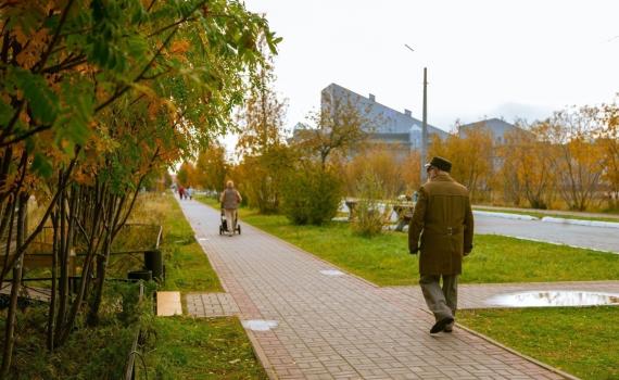 Ваш голос решает всё!